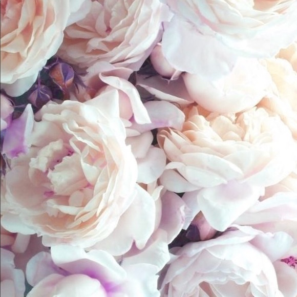 Meet your Posher, Elle - Picture 1 of 3